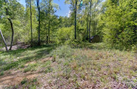 109 & 99999 Apgar Road Candler NC 28715