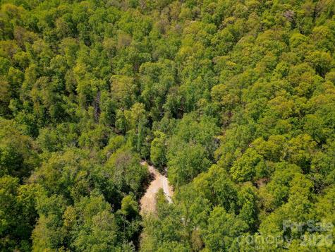109 & 99999 Apgar Road Candler NC 28715
