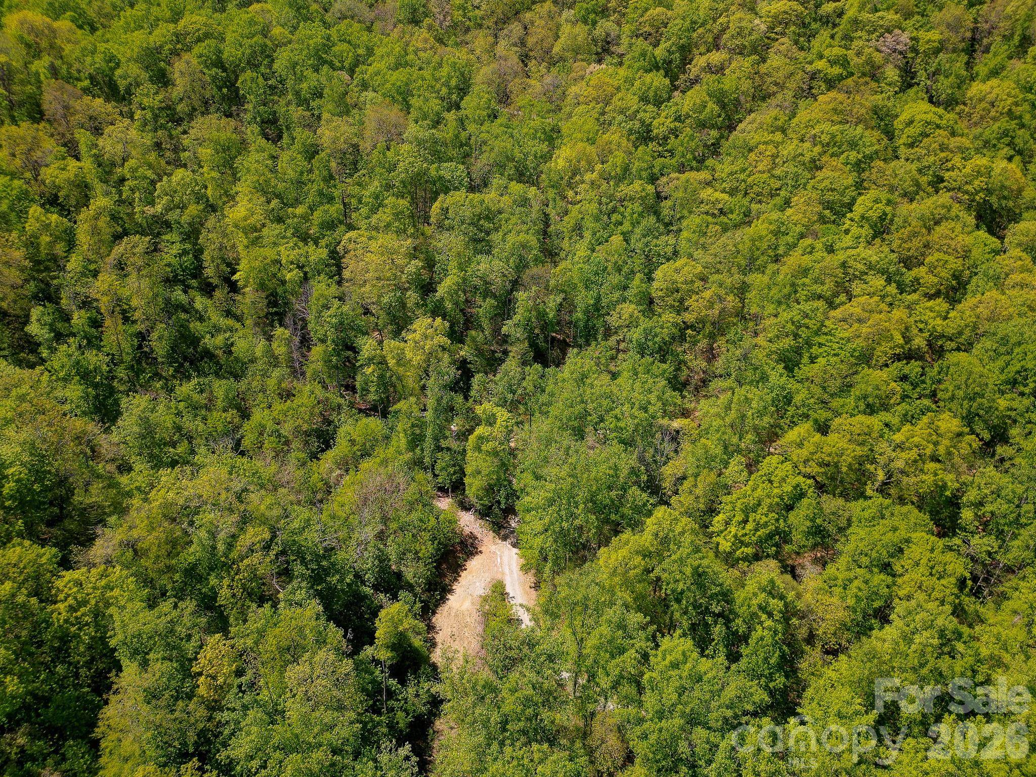 109 & 99999 Apgar Road Candler NC 28715