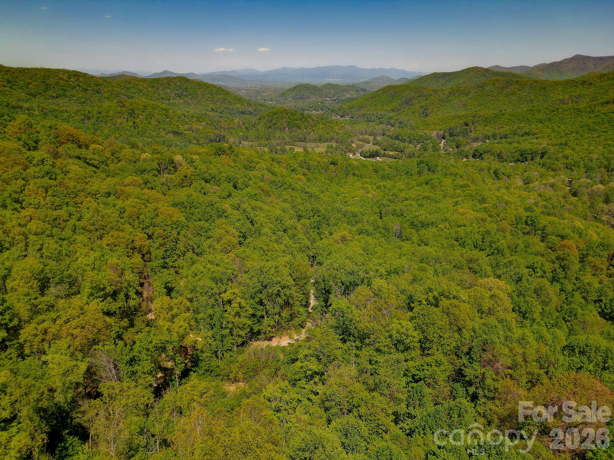 109 & 99999 Apgar Road Candler NC 28715