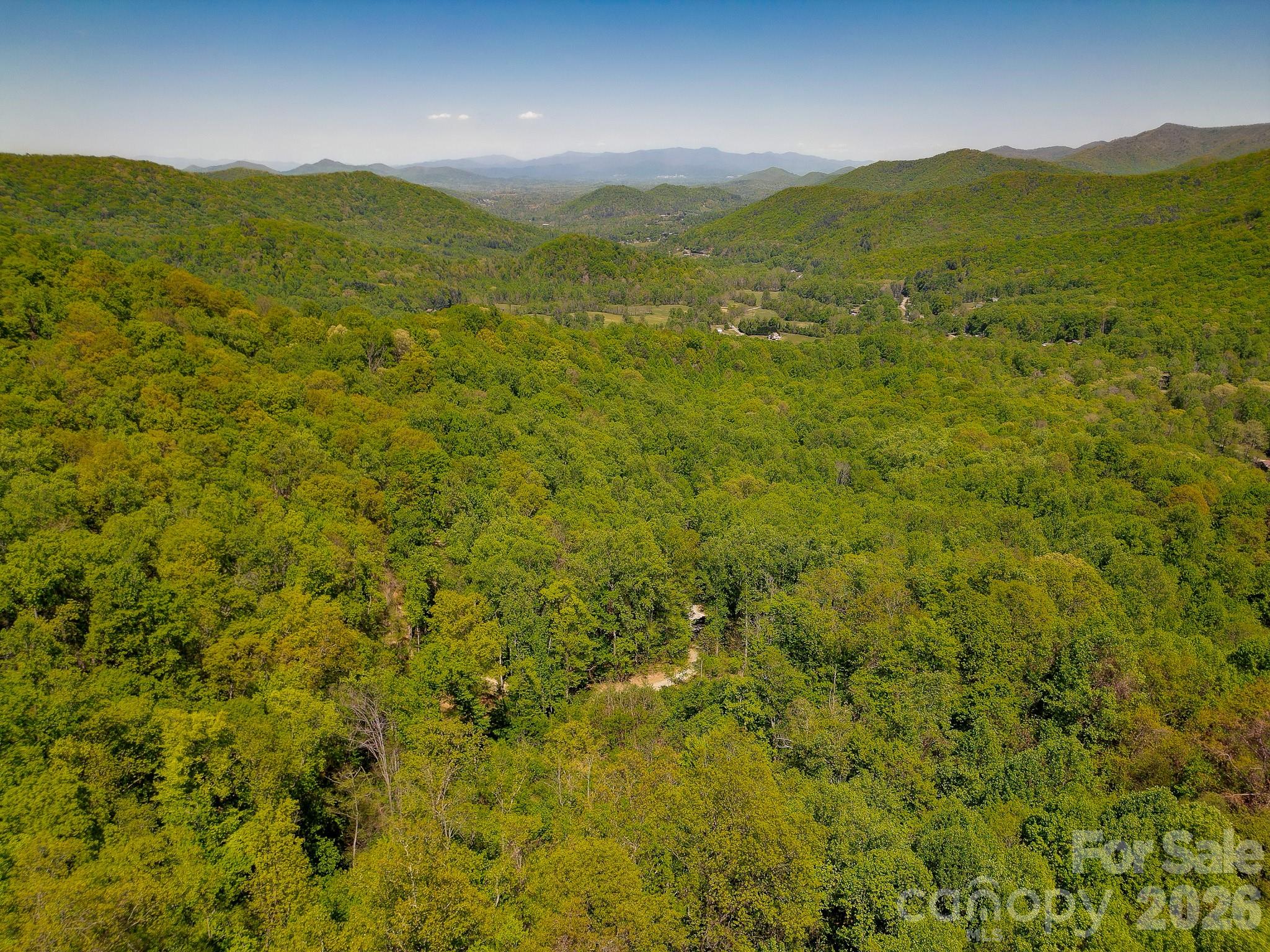 109 & 99999 Apgar Road Candler NC 28715