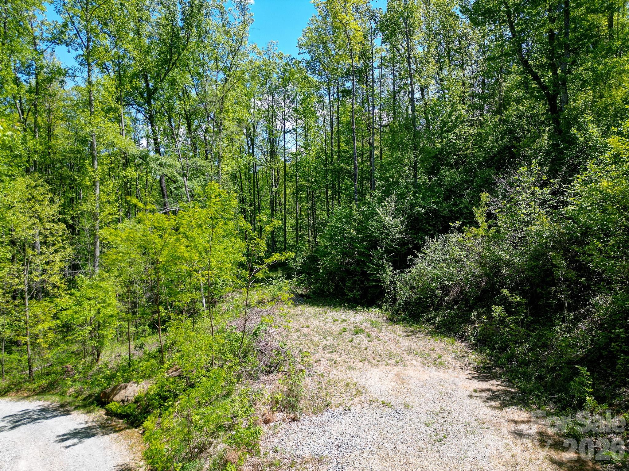 109 & 99999 Apgar Road Candler NC 28715