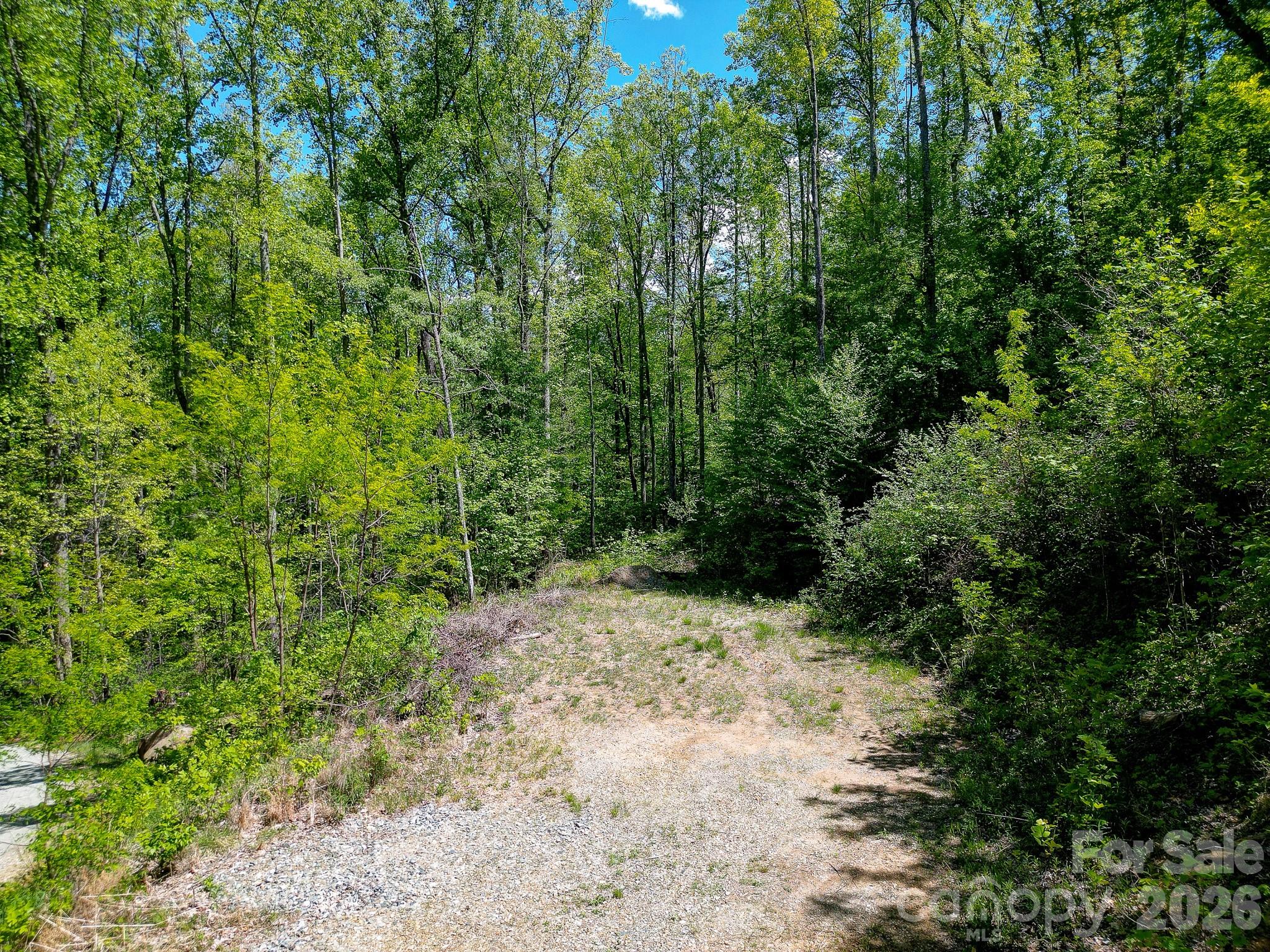 109 & 99999 Apgar Road Candler NC 28715