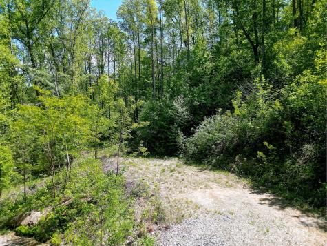 109 & 99999 Apgar Road Candler NC 28715