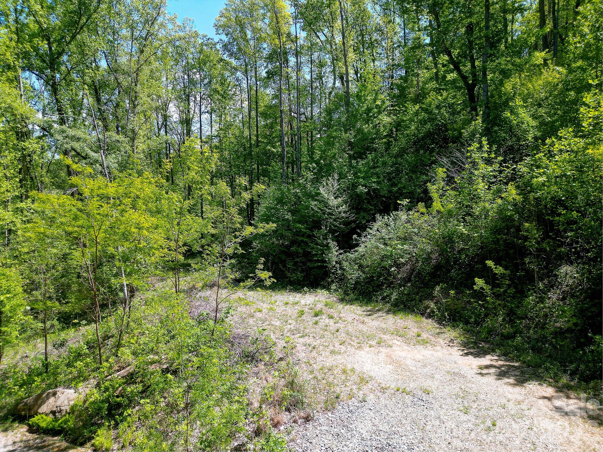 109 & 99999 Apgar Road Candler NC 28715