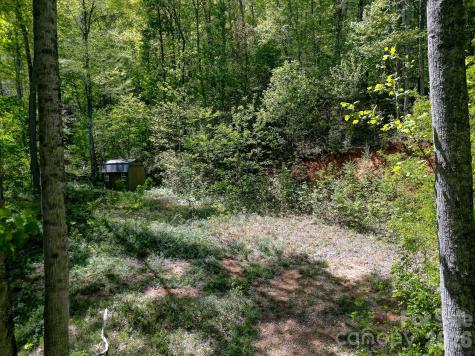 109 & 99999 Apgar Road Candler NC 28715