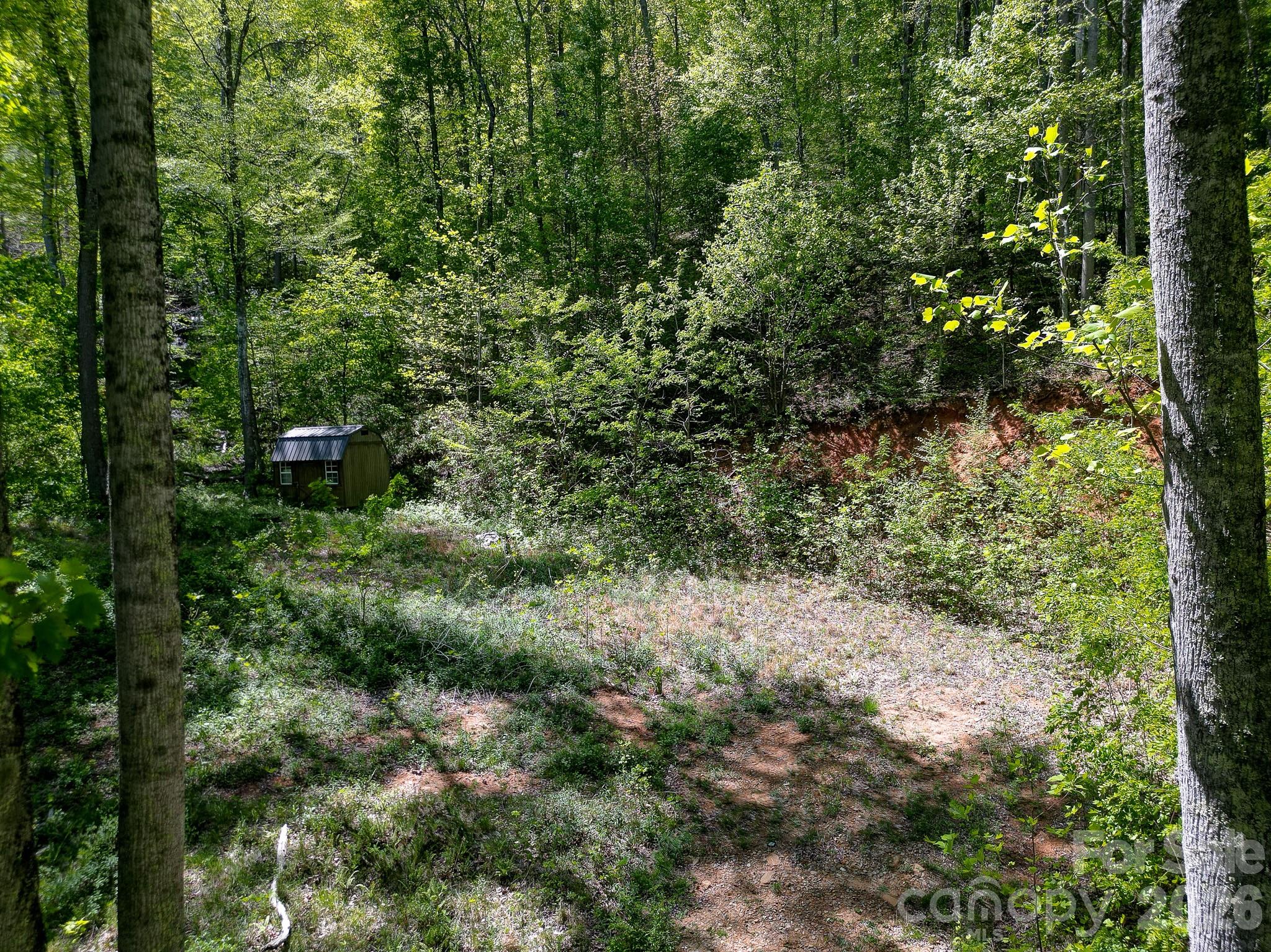 109 & 99999 Apgar Road Candler NC 28715