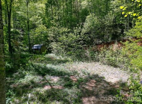 109 & 99999 Apgar Road Candler NC 28715