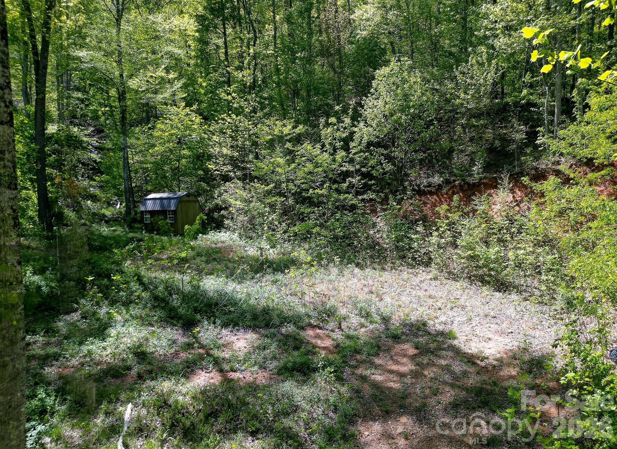 109 & 99999 Apgar Road Candler NC 28715