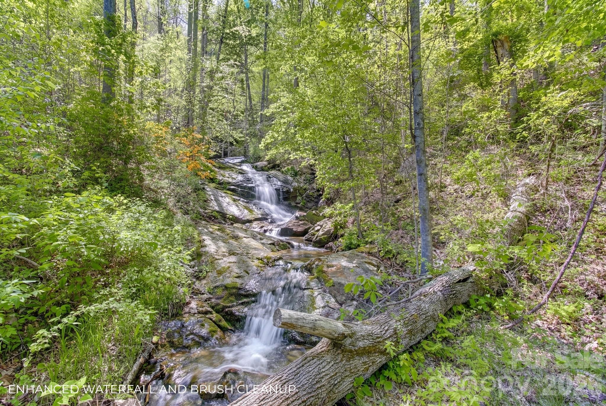109 & 99999 Apgar Road Candler NC 28715