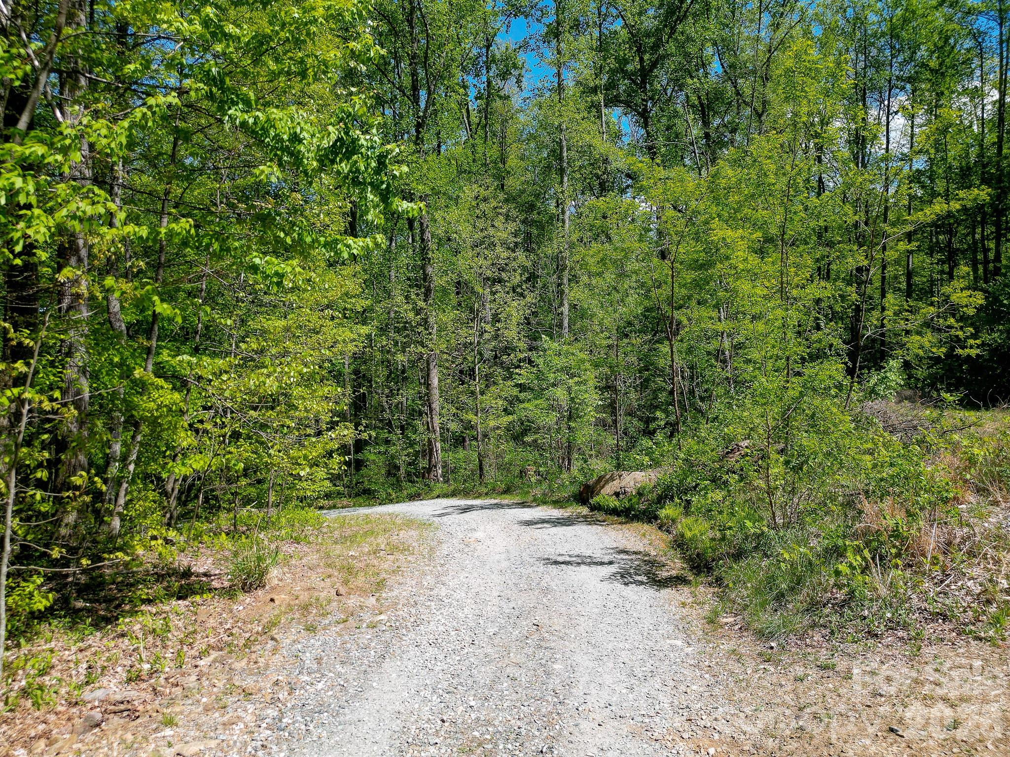 109 & 99999 Apgar Road Candler NC 28715