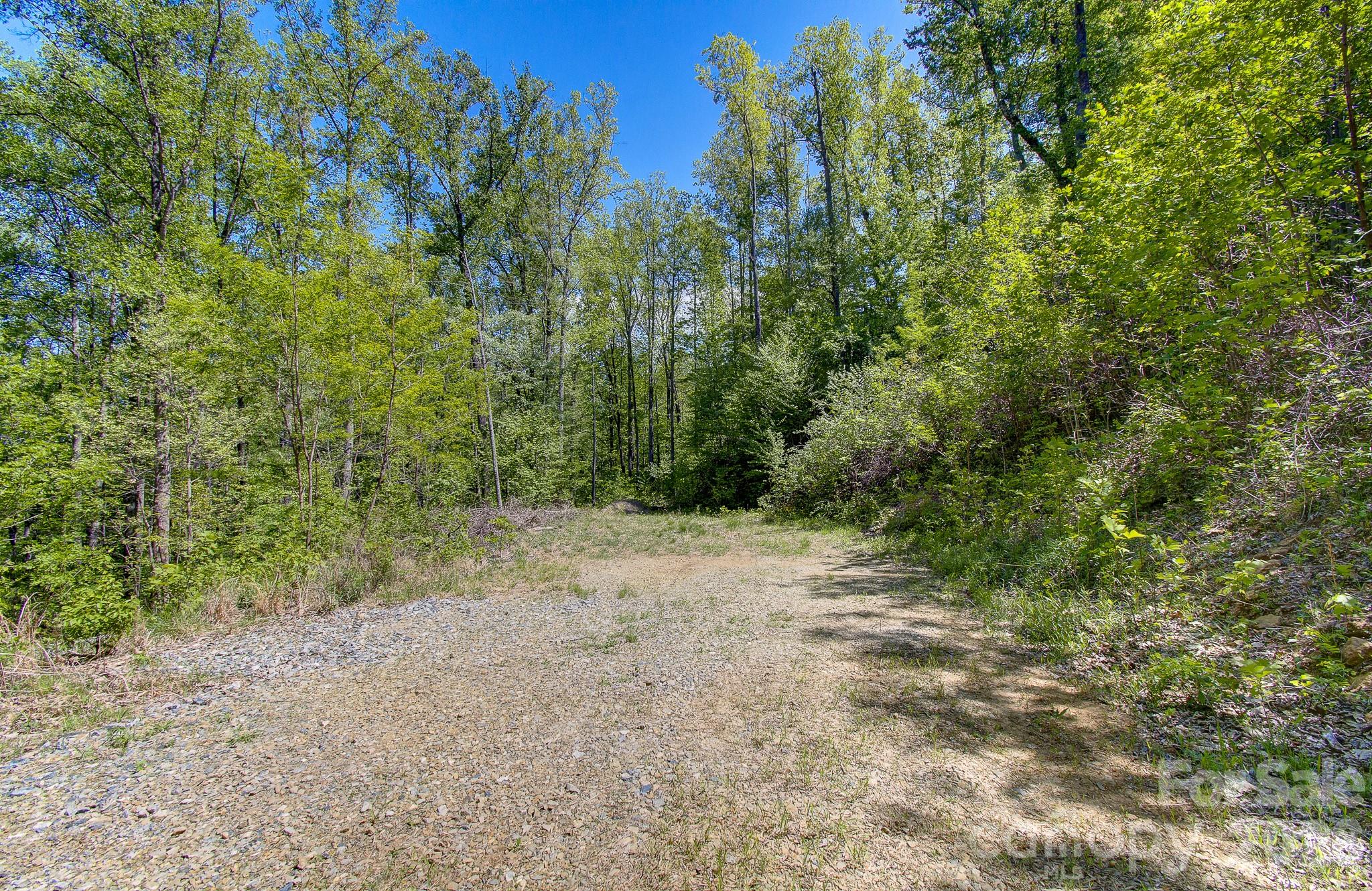 109 & 99999 Apgar Road Candler NC 28715