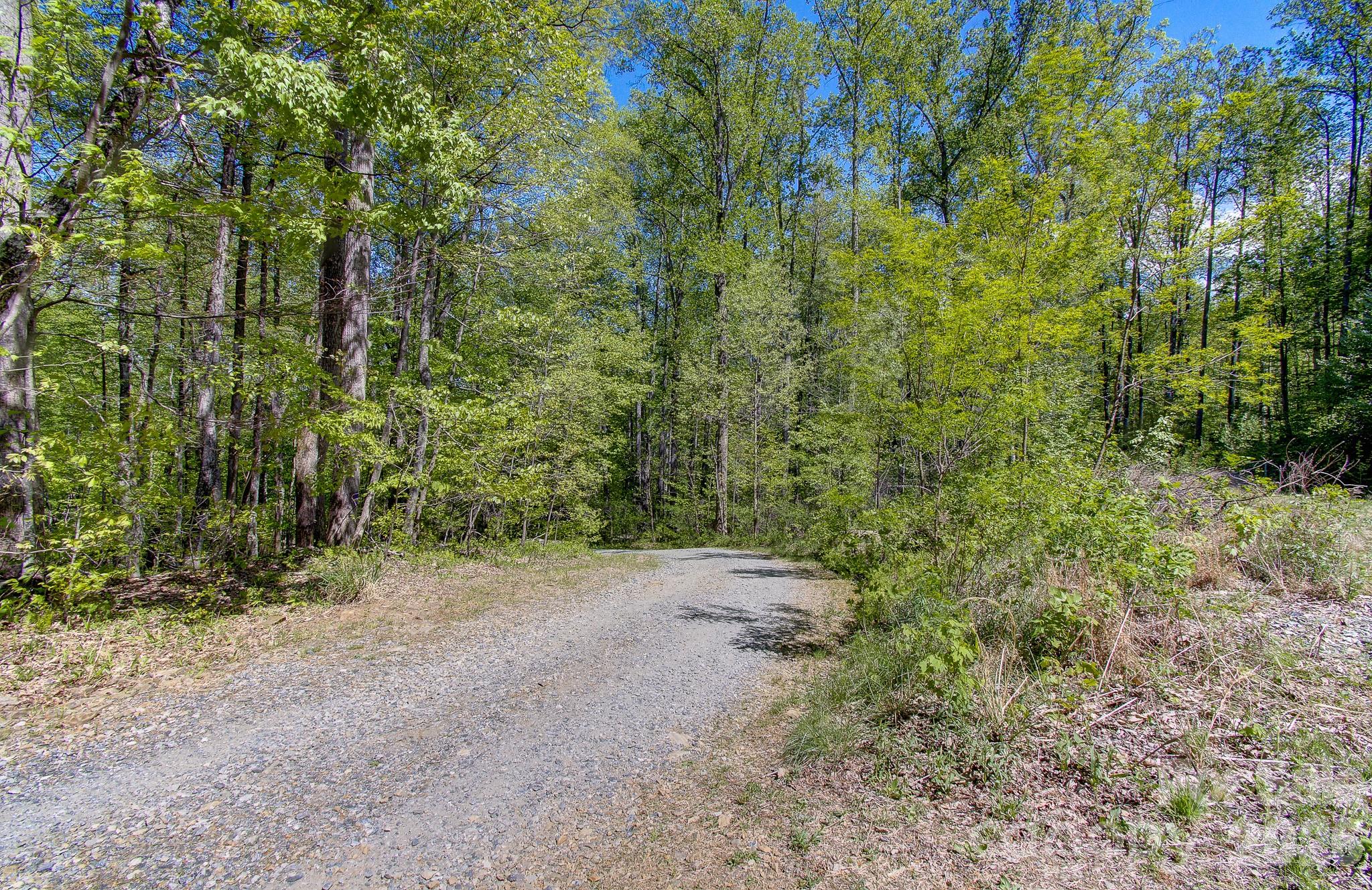 109 & 99999 Apgar Road Candler NC 28715