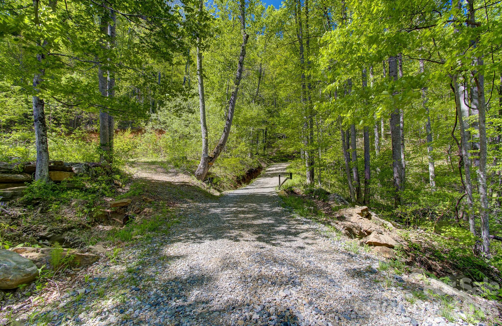 109 & 99999 Apgar Road Candler NC 28715