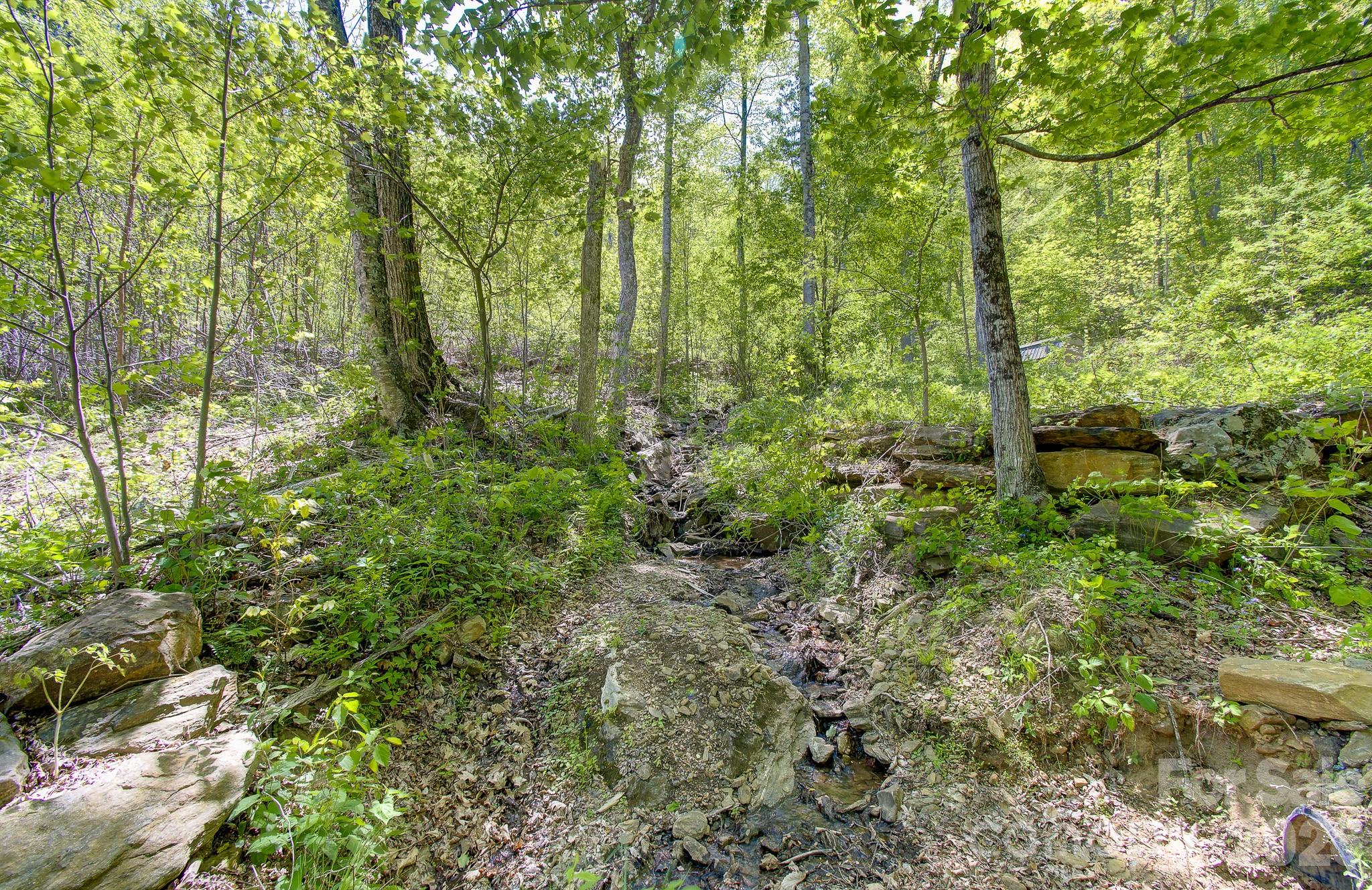 109 & 99999 Apgar Road Candler NC 28715