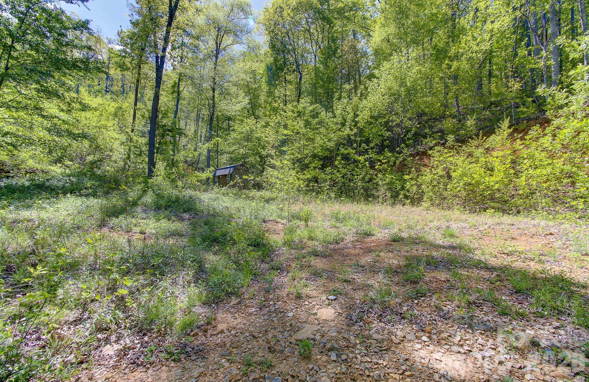 109 & 99999 Apgar Road Candler NC 28715