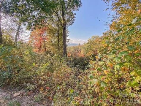 215 Crossvine Trail Hendersonville NC 28739