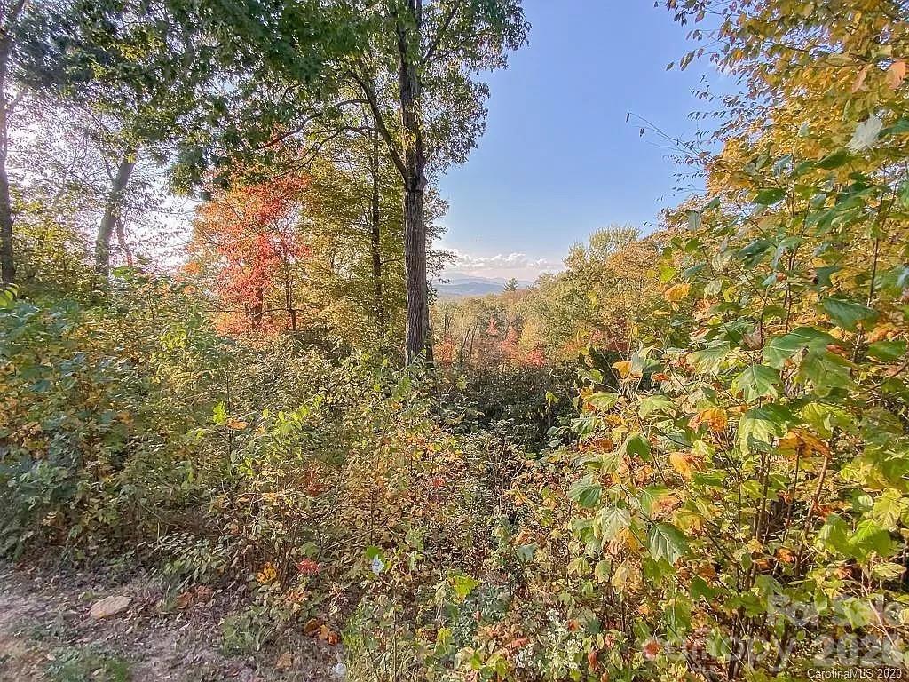 215 Crossvine Trail Hendersonville NC 28739