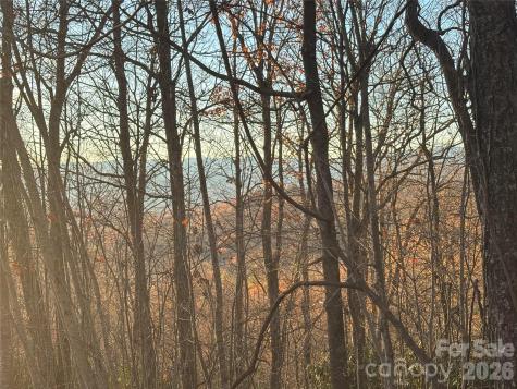 215 Crossvine Trail Hendersonville NC 28739