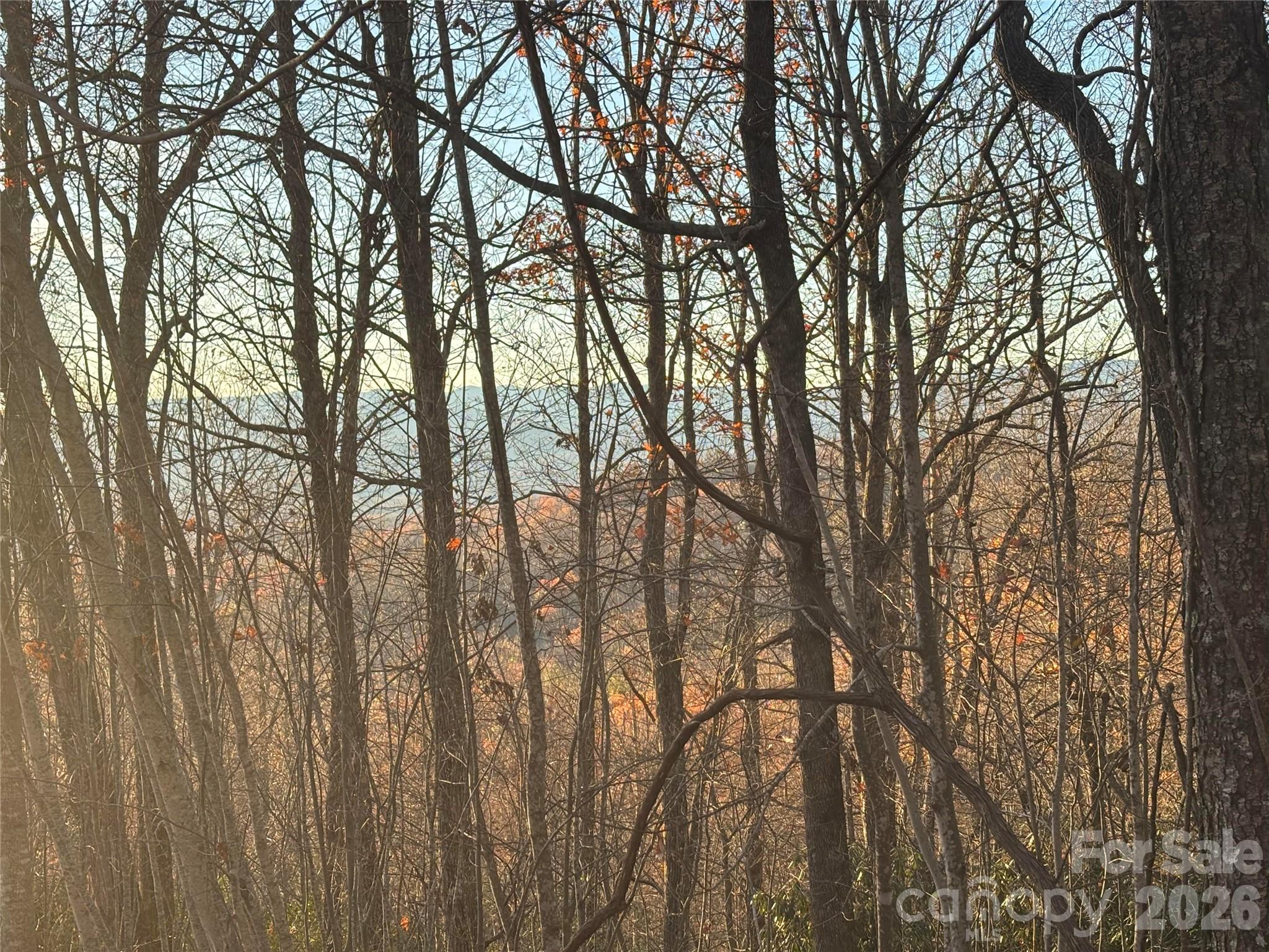215 Crossvine Trail Hendersonville NC 28739