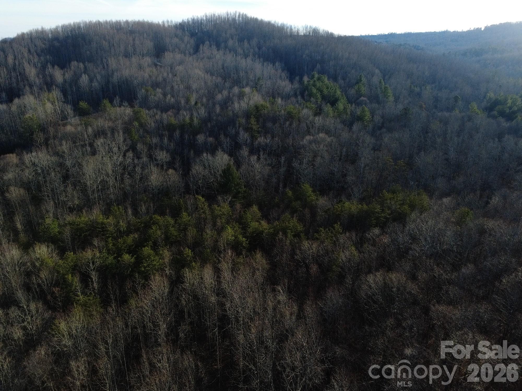 Lot 24 Double Eagle Drive Nebo NC 28761