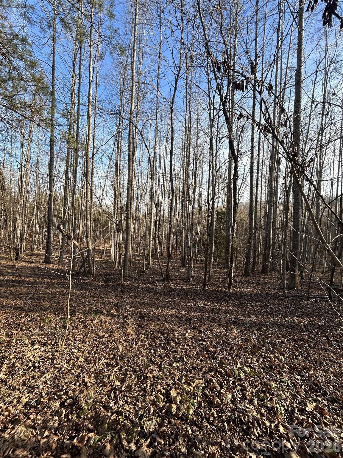 Lot 24 Double Eagle Drive Nebo NC 28761