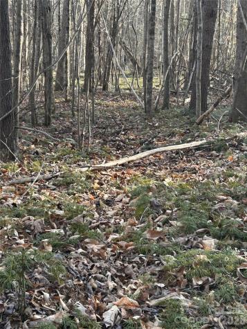 Lot 24 Double Eagle Drive Nebo NC 28761