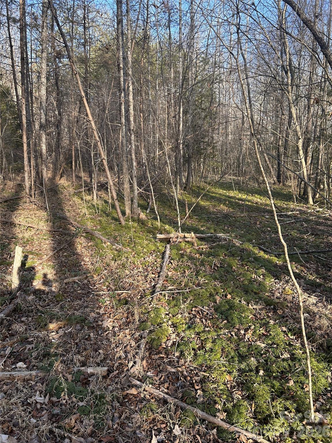 Lot 24 Double Eagle Drive Nebo NC 28761