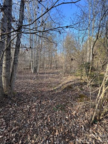 Lot 24 Double Eagle Drive Nebo NC 28761