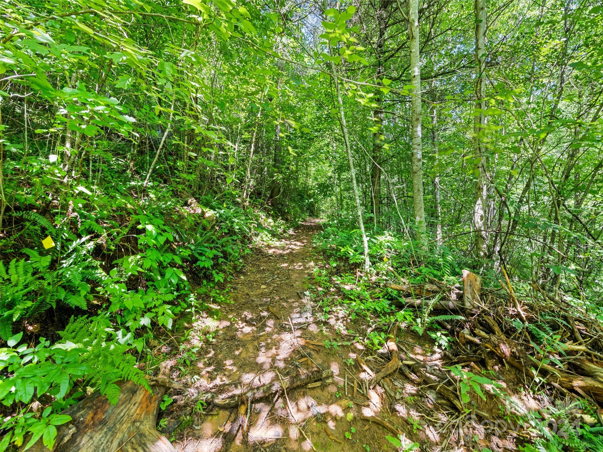 00 Ashe Loop Road Sylva NC 28779