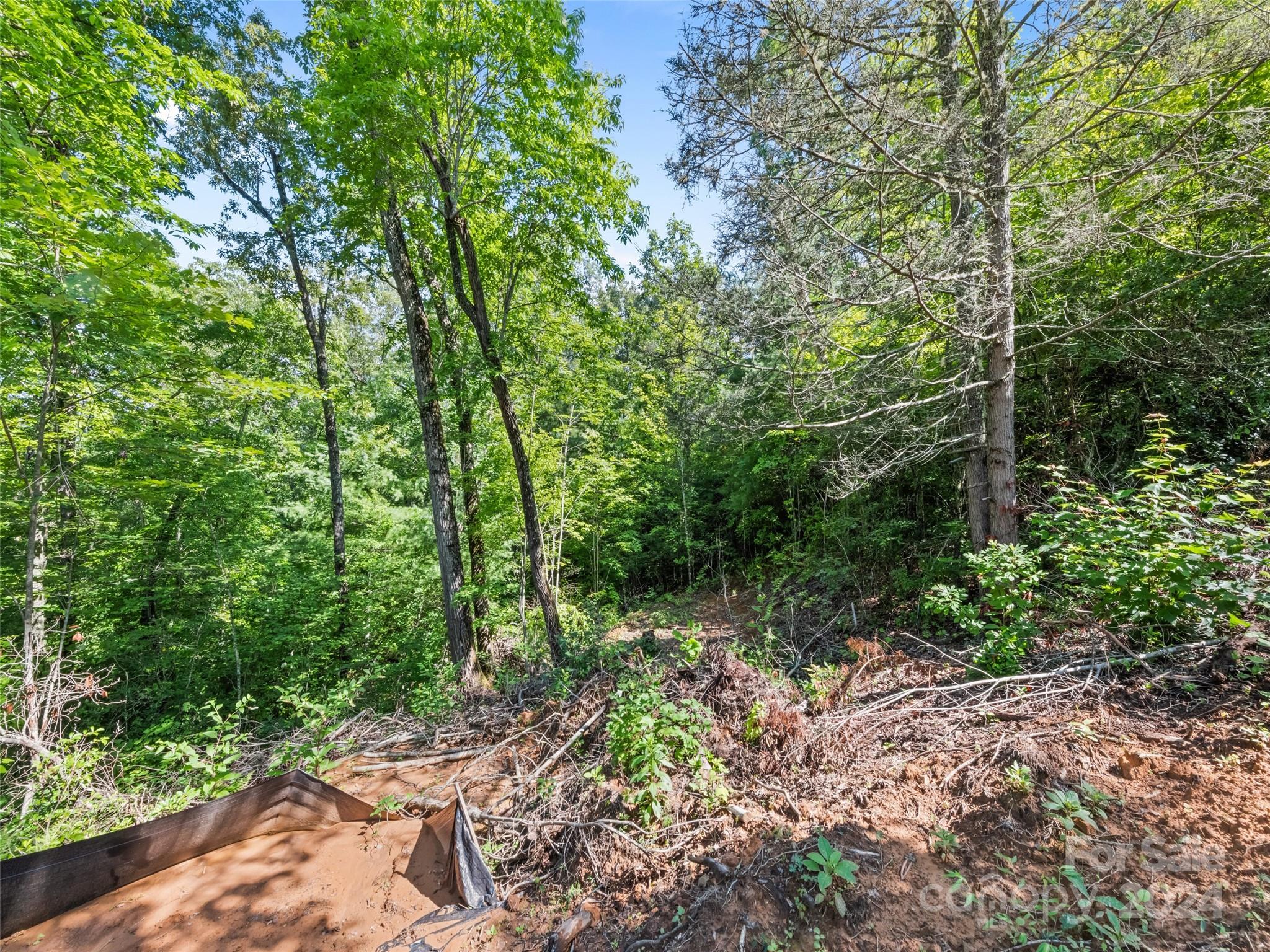 00 Ashe Loop Road Sylva NC 28779