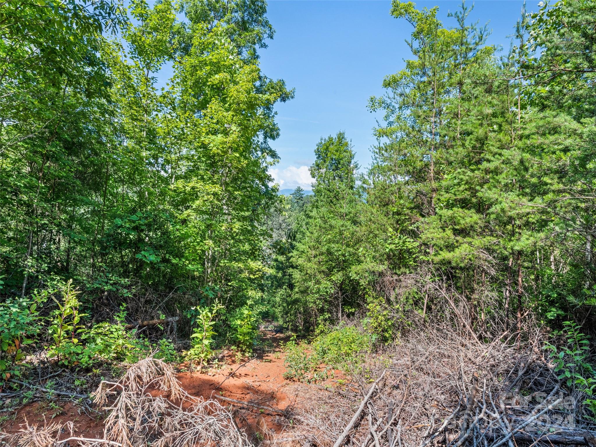 00 Ashe Loop Road Sylva NC 28779