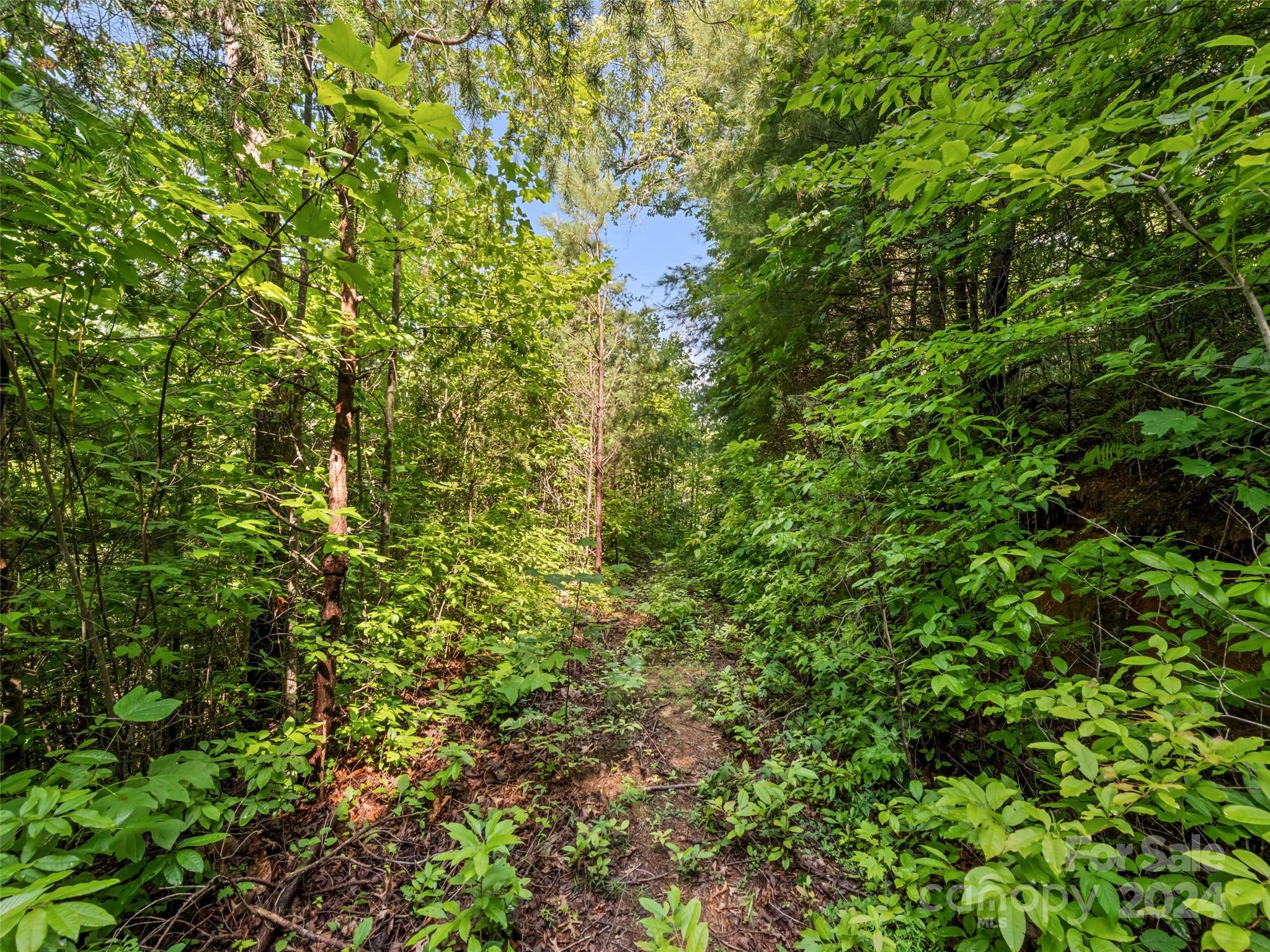 00 Ashe Loop Road Sylva NC 28779