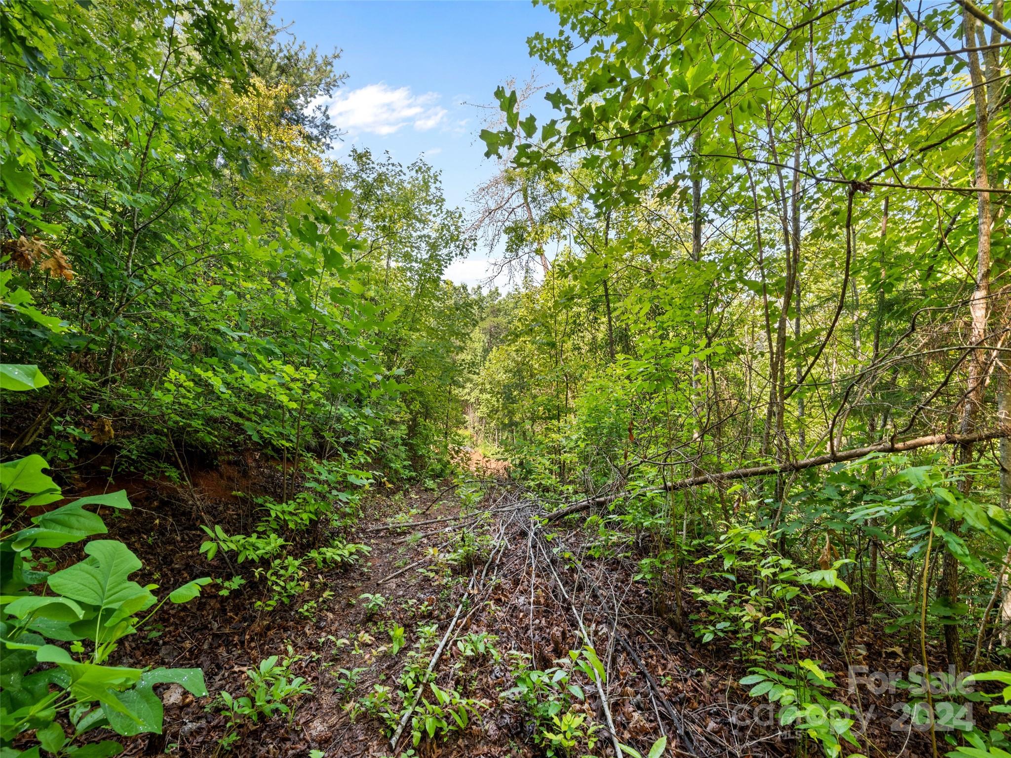00 Ashe Loop Road Sylva NC 28779