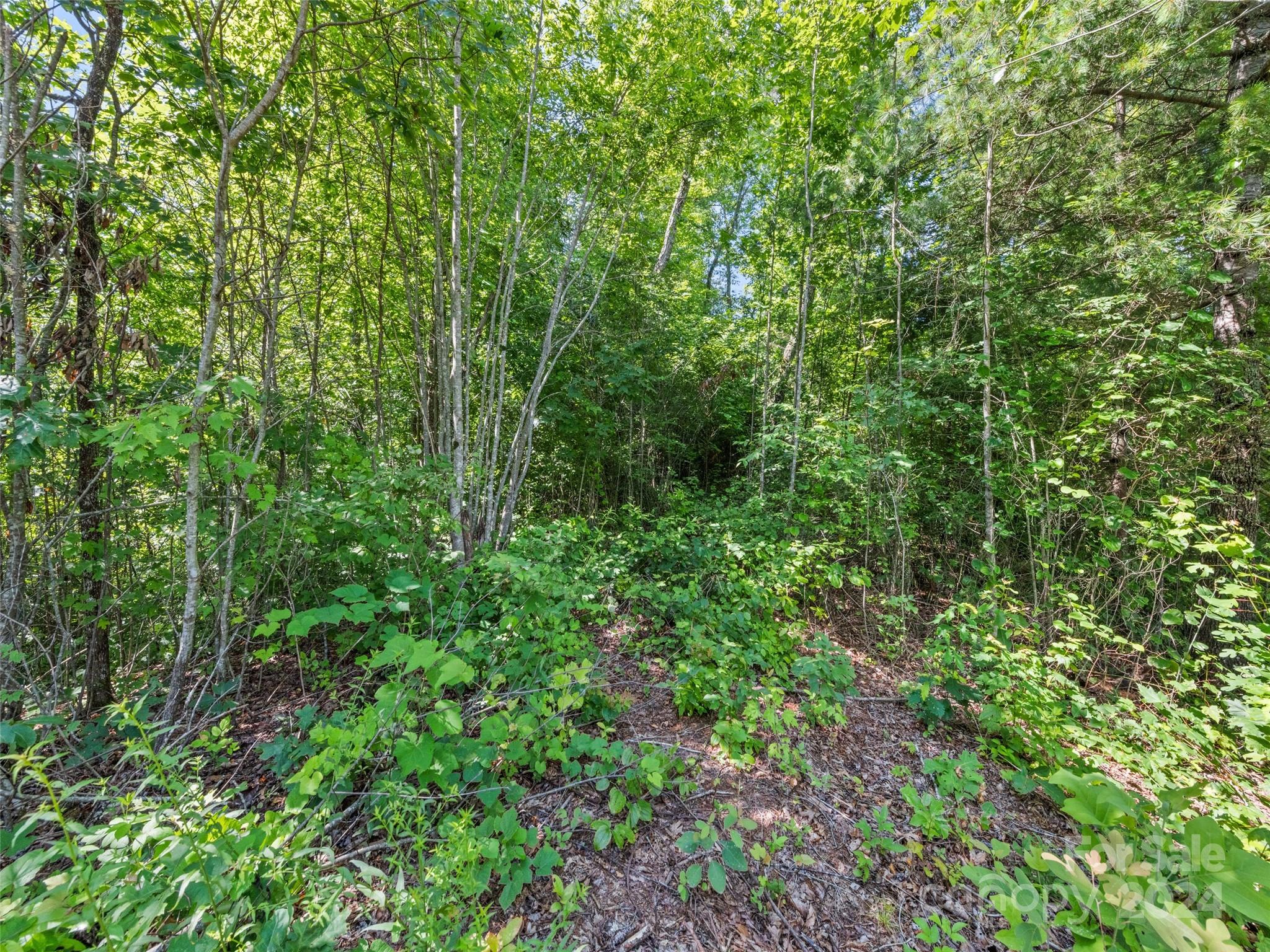 00 Ashe Loop Road Sylva NC 28779