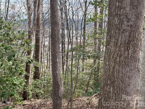 283 Shooting Star Drive Old Fort NC 28762