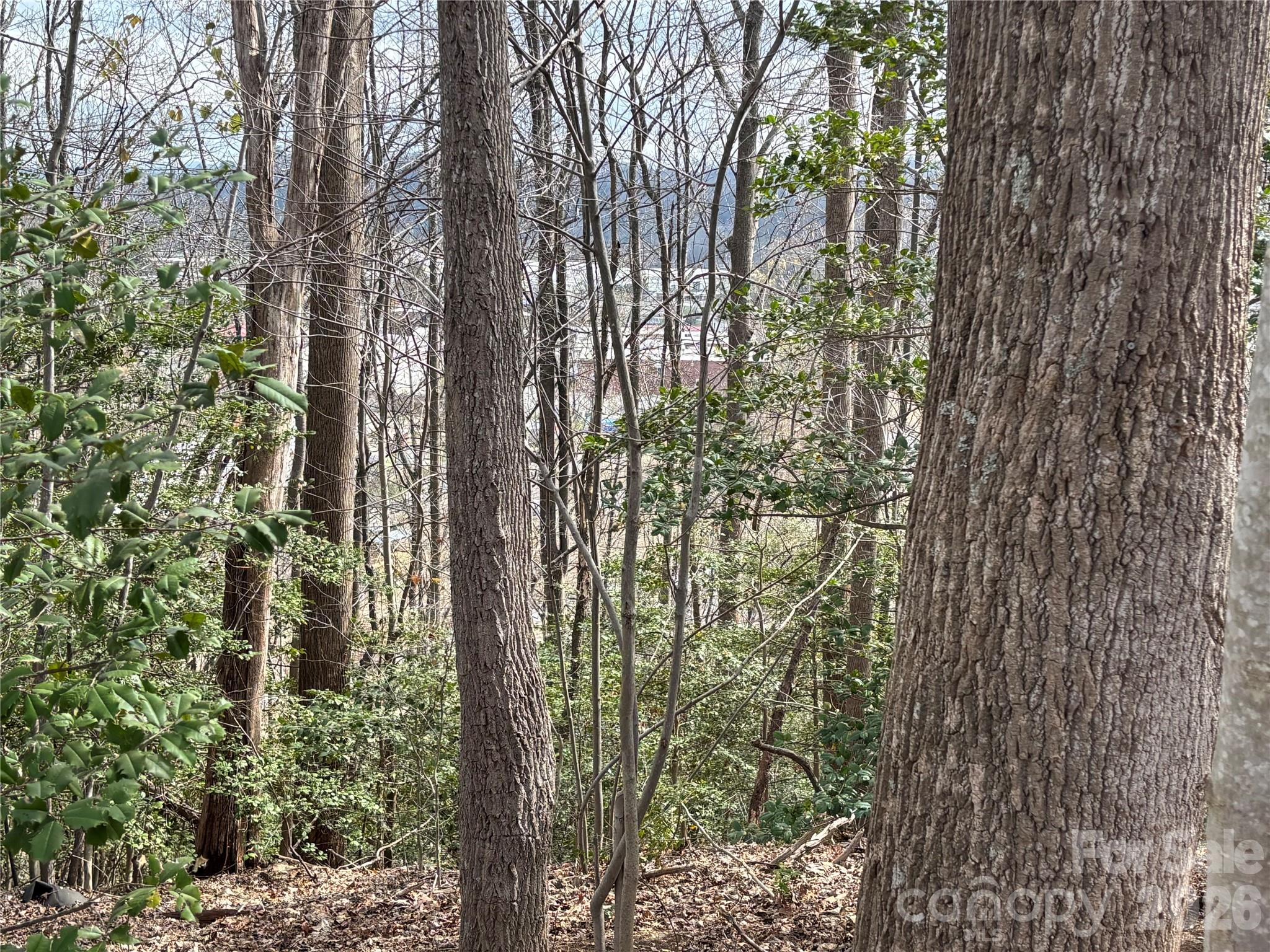 283 Shooting Star Drive Old Fort NC 28762