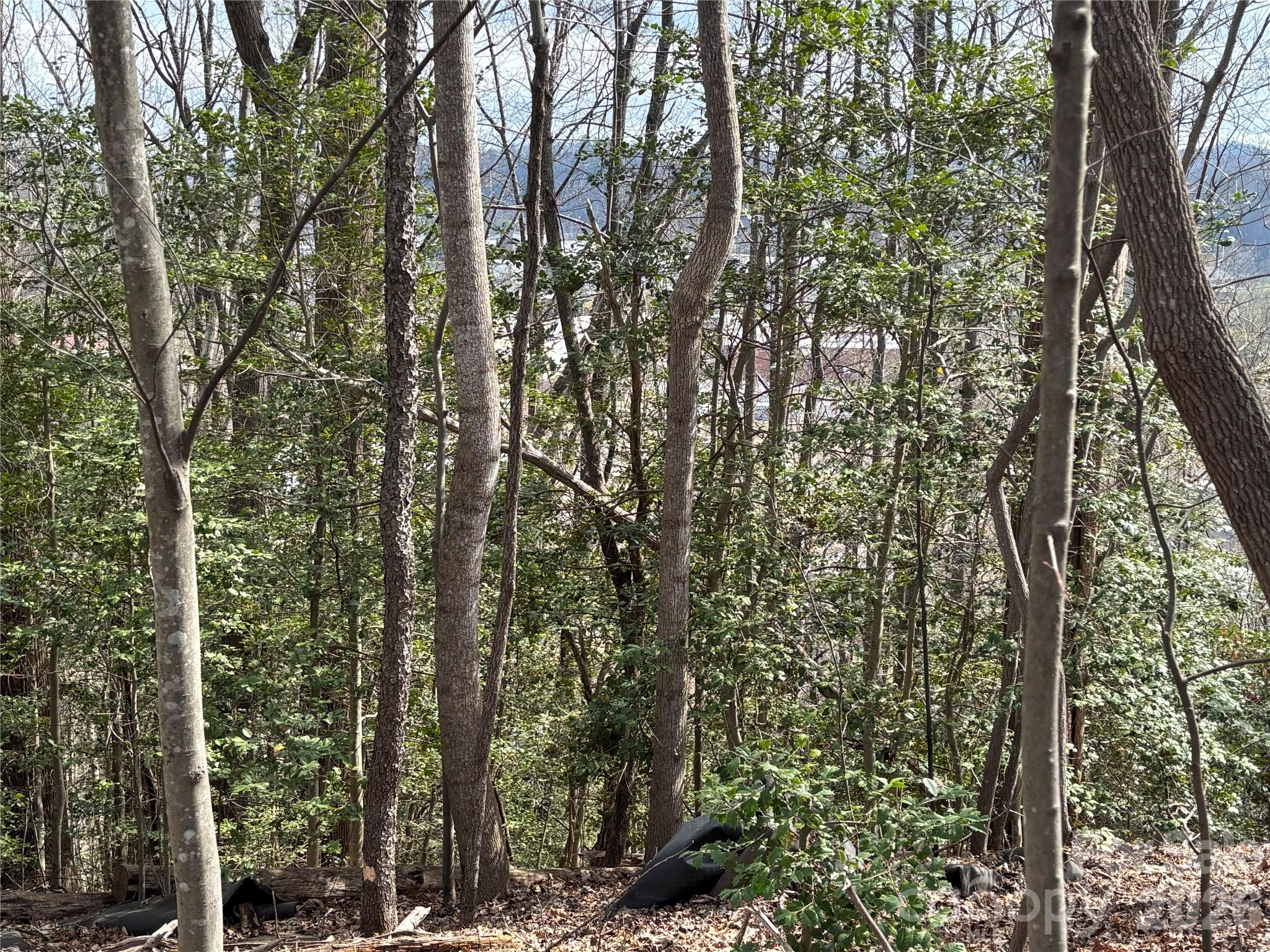 283 Shooting Star Drive Old Fort NC 28762
