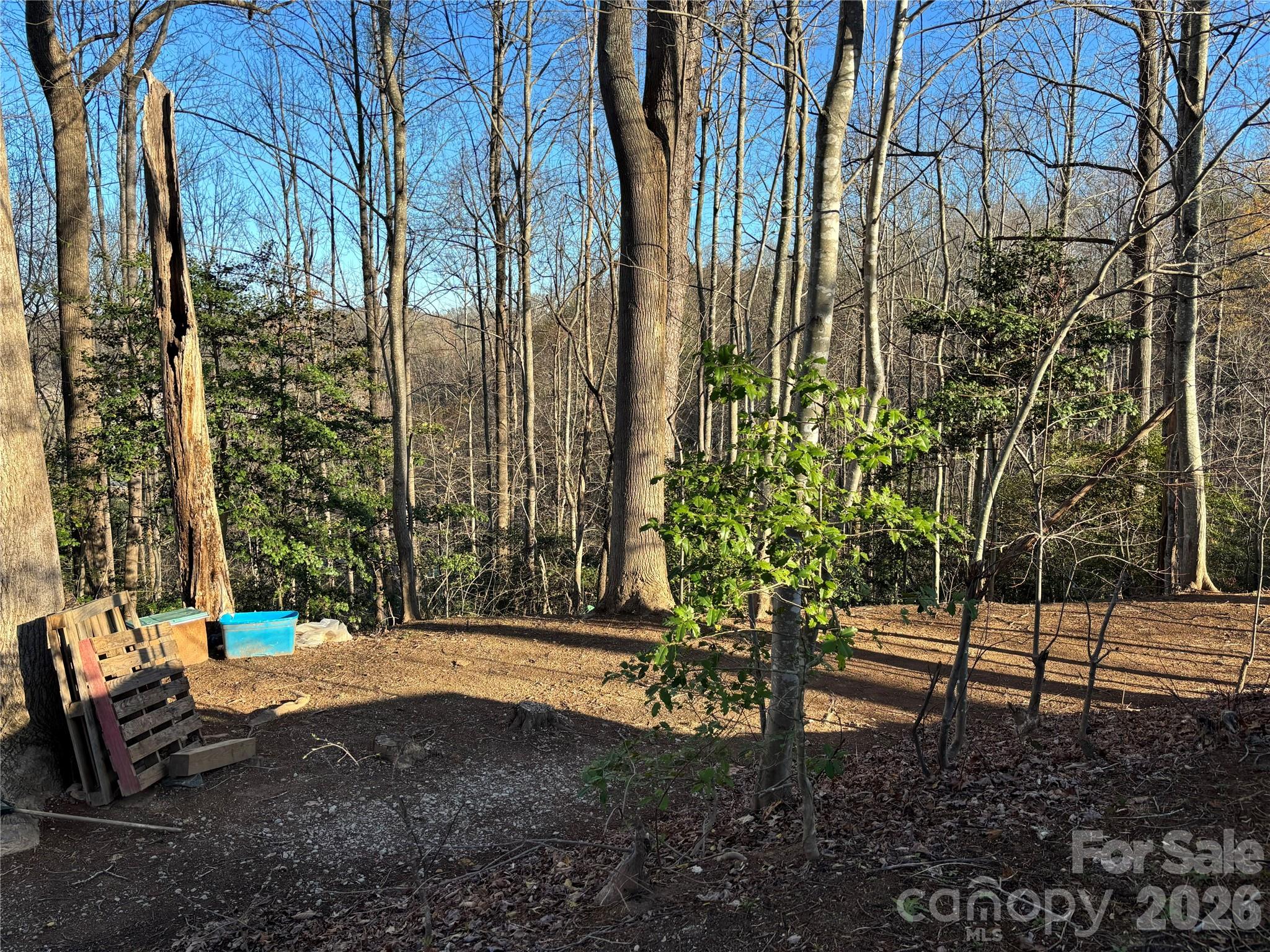 283 Shooting Star Drive Old Fort NC 28762
