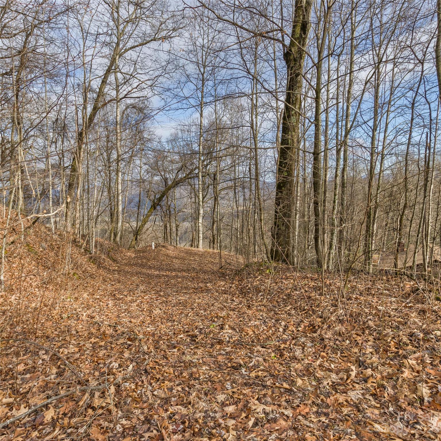 3 Michael Drive Waynesville NC 28785