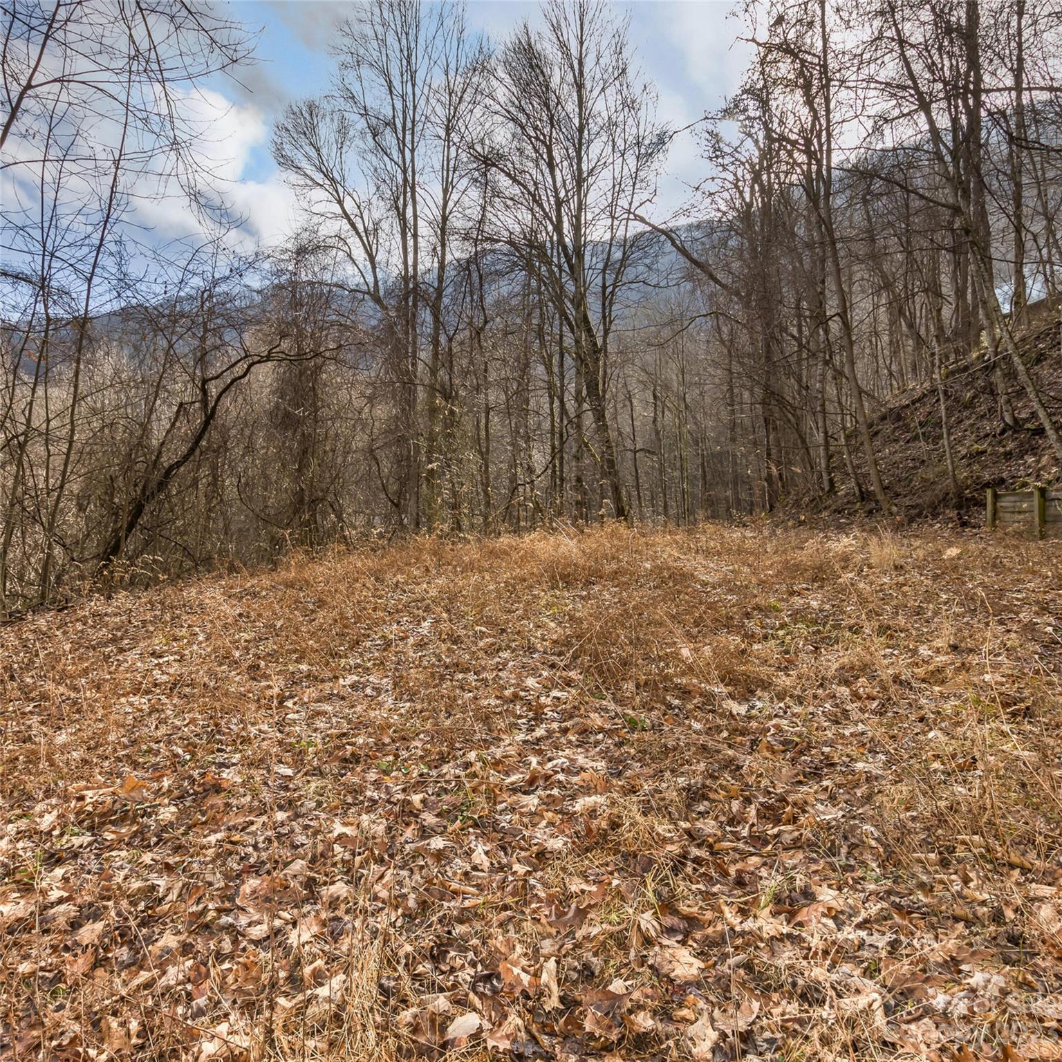 3 Michael Drive Waynesville NC 28785
