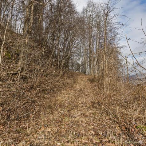 3 Michael Drive Waynesville NC 28785