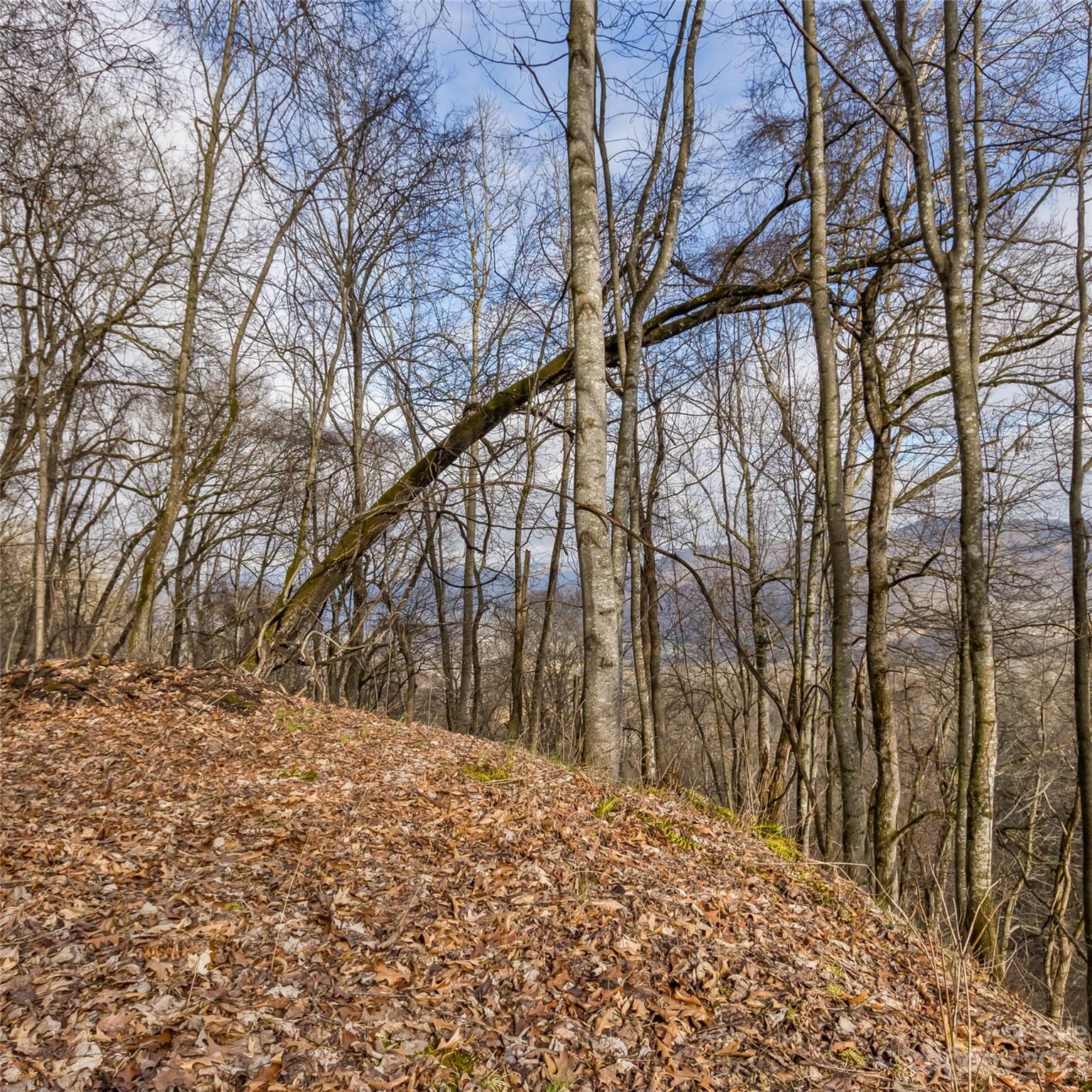 3 Michael Drive Waynesville NC 28785