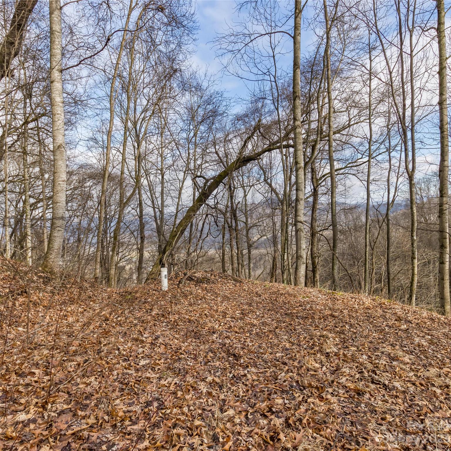 3 Michael Drive Waynesville NC 28785