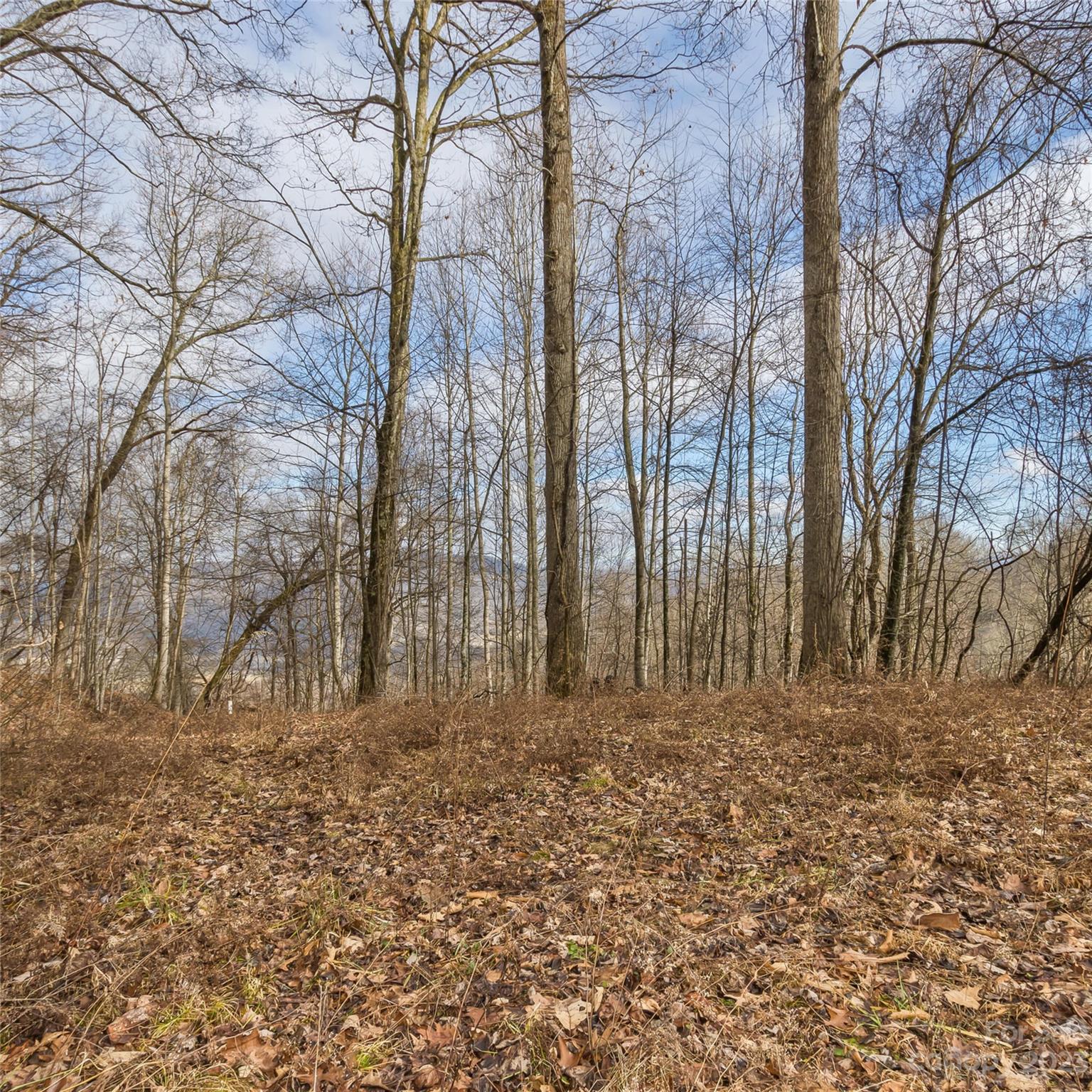 3 Michael Drive Waynesville NC 28785