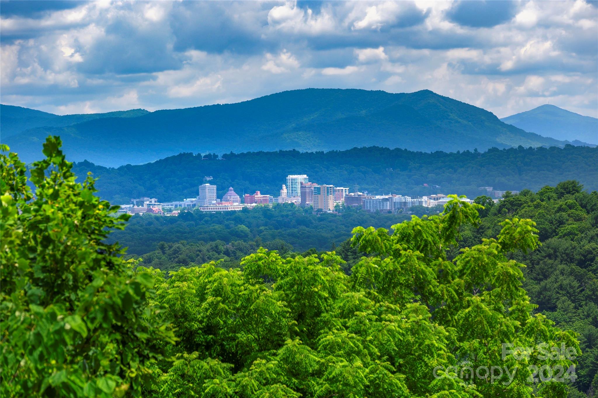 62 Destination Drive Asheville NC 28806