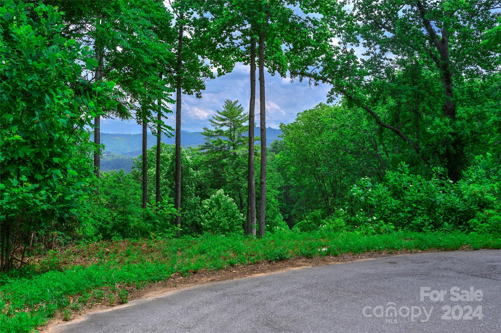 62 Destination Drive Asheville NC 28806