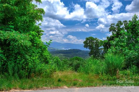 62 Destination Drive Asheville NC 28806
