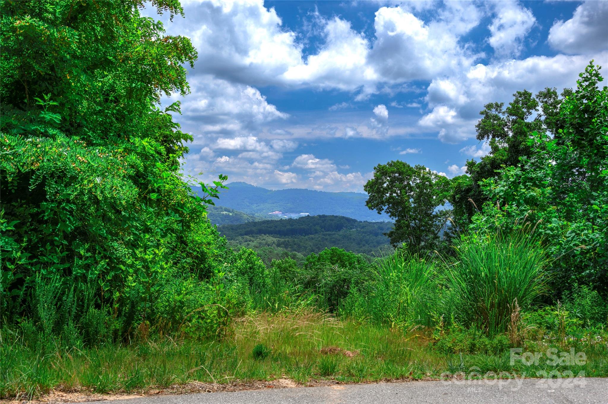 62 Destination Drive Asheville NC 28806