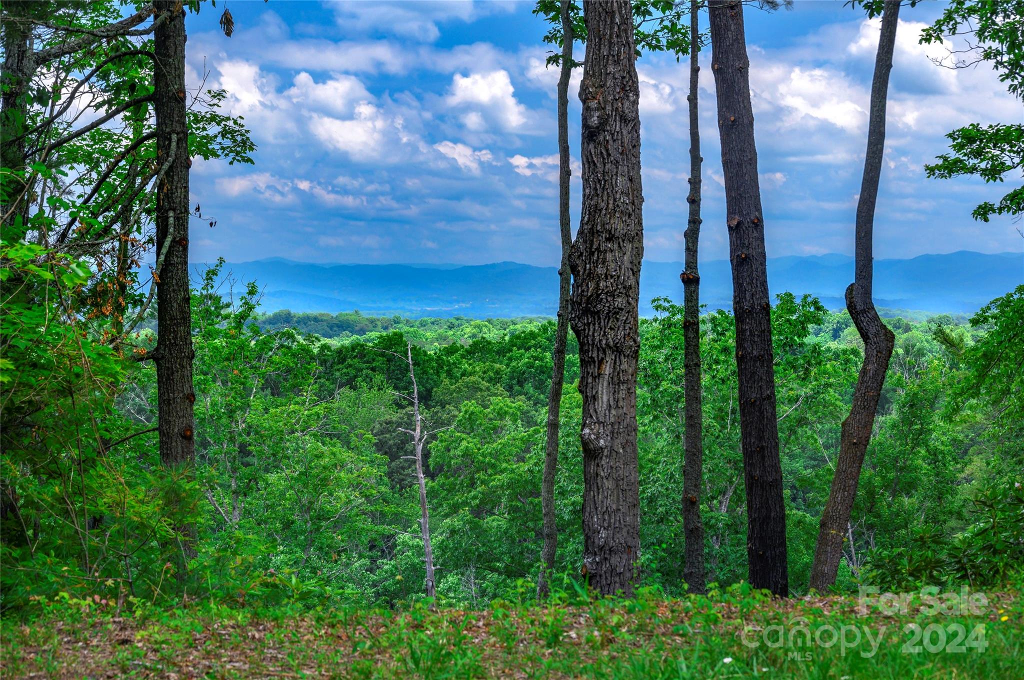 62 Destination Drive Asheville NC 28806